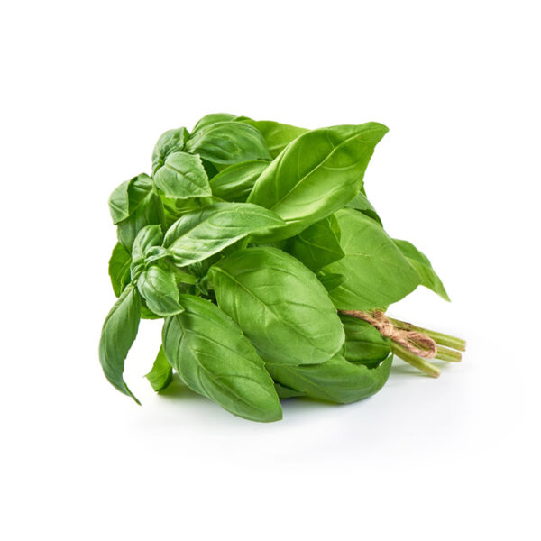 basilico